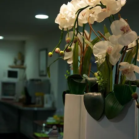 Aer Hotel