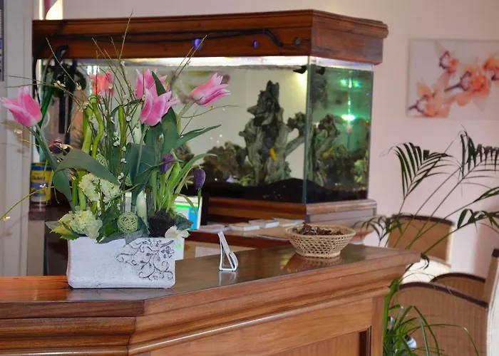 Hotel Aer Vieille-Toulouse